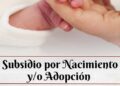 Subsidio por Nacimiento y/o Adopción