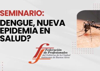 Seminario: Dengue, nueva epidemia en salud?